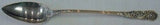 Trajan by Reed & Barton Sterling Silver Stuffing Spoon All Sterling 14 1/2"