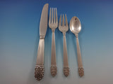 Northern Lights by International Sterling Silver Flatware Set Mid-Century Modern