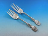 Radiant by Whiting Sterling Silver Flatware Set for 6 Service 63 pieces