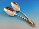 Florentine Scroll by Lunt Sterling Silver Flatware Service for 12 Set 53 pieces