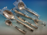 Audubon by Ricci Stainless Steel Flatware Tableware Set Service 12 New 65 Pcs