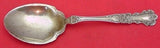 Buttercup by Gorham Sterling Silver Salad Serving Spoon 8 3/4"