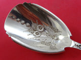 Medallion aka Diana by Wood & Hughes Coin Silver Fruit Berry Scoop BC 9"
