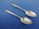Canterbury Bell by Lunt Sterling Silver Flatware Set Service 38 Pieces
