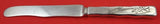 Lap Over Edge Acid Etched by Tiffany and Co Sterling Dessert Knife HHAS Mushroom