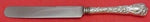 Chrysanthemum by Durgin Sterling Silver Regular Knife Blunt 8 1/2" Flatware