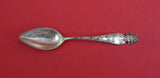 Sunny South by Shiebler Sterling Grapefruit Spoon GW  "Jacksonville FL"   6 5/8"