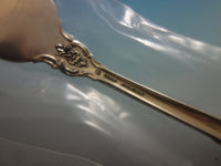 Lasting Grace by Lunt Sterling Silver Flatware Service for 12 Set 49 Pcs New