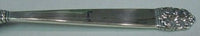 Northern Lights by International Sterling Silver Demitasse Spoon 4 1/4"