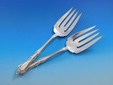 Foxhall by Watson Sterling Silver Flatware Service For 12 Set 105 Pieces No Mono