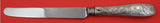 Audubon by Tiffany and Co Sterling Silver Dinner Knife French 10 1/8" Flatware