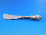 Sir Christopher by Wallace Sterling Silver Butter Spreader HH Paddle Set 12 pcs