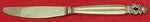 Acorn by Georg Jensen Sterling Silver Dinner Knife Long Handle #014 9 1/8"