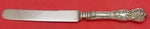Wild Rose by Watson Sterling Silver Dinner Knife Blunt Silver Plate Blade 9 3/4"