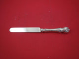 Mazarin by Dominick & Haff Sterling Dinner Knife blunt 10"