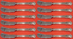 English Shell by Lunt Sterling Silver Butter Spreader HH Paddle Set 12 pcs 6"