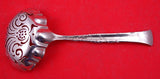 Vine by Tiffany and Co Sterling Silver Sugar Sifter Oval Gourd Motif 6" No Mono