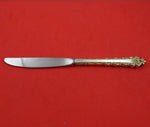 Golden La Strada by International Sterling Silver Place Size Knife Modern 9 1/8"