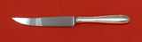Silver Flutes by Towle Sterling Silver Steak Knife Set of 12 HHWS Custom 8 1/2"