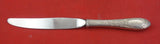 Primrose by Kirk Sterling Silver Regular Knife modern 9"