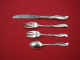 Silver Melody by International Sterling Silver Regular 4-pc Setting(s)