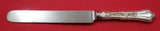 Persian by Tiffany and Co Sterling Silver Dinner Knife Blunt WS 10 1/8" Flatware