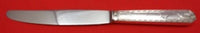 Brienne by Christofle Sterling Silver Dinner Knife 9 3/4" Flatware Heirloom