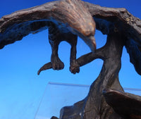 Miley Busiek Frost Bronze Bald Eagle Figurine "Together A New Beginning" (#6972)