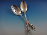 Grande Renaissance by Reed & Barton Sterling Silver Flatware 12 Set 54 Pcs