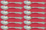 Old Orange Blossom by Alvin / Gorham Sterling Silver Teaspoon Set of 12pc 5 7/8"