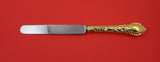 Demidoff Vermeil by Odiot French Sterling Silver Dinner Knife blunt 10 1/2"