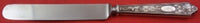 Adam by Lunt Sterling Silver Dinner Knife Blunt 9 5/8" Flatware Heirloom