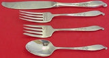 Wishing Star By Wallace Sterling Silver Regular Size Place Setting(s) 4pc