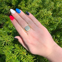 10k Yellow Gold Men's Blank Signet RIng with Brushed Finish Size 7.5 (#J6639)