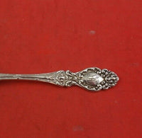 Lucerne by Wallace Sterling Silver Salt Spoon Master Original 3 1/2" Heirloom