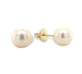 14k Yellow Gold 7.3mm Creamy White Cultured Pearl Stud Earrings (#J7055)