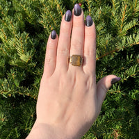 10k Gold Men's Genuine Tiger's Eye Quartz Double Warrior Cameo Ring (#J7061)