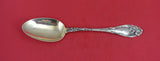Narcissus by Lunt Sterling Serving Spoon 8 3/8"