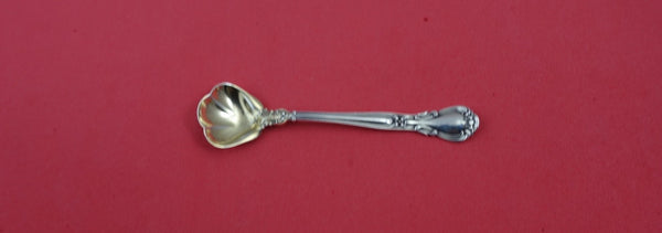 Chantilly by Gorham Sterling Silver Salt Spoon Master lobed bowl GW 3 3/4" Orig.