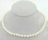 Akoya 6.5mm Saltwater Pearl Strand Necklace with 14k White Gold Clasp (#J4181)