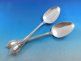 Stanton Hall by Oneida Sterling Silver Flatware Set for 8 Service 35 pcs Dinner