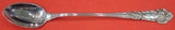 French Renaissance by Reed and Barton Sterling Silver Iced Tea Spoon 7 1/2"