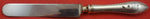 Pointed Antique Engraved #2 by Unknown Sterling Silver Regular Knife Blunt 8 3/4