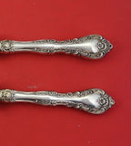 Alencon Lace by Gorham Sterling Silver Roast Carving Set 2pc HH WS Heirloom