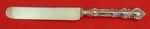 Warwick by International Sterling Silver Regular Knife 8 5/8"
