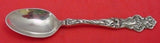 Irian by Wallace Sterling Silver Demitasse Spoon 3 7/8" Heirloom Silverware