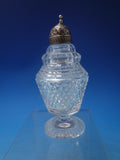Silverplate Cruet Set 7 Piece with Footed Caddy and 6 Glass Bottles (#6489)