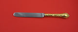 Demidoff Vermeil by Odiot French Sterling Silver Luncheon Knife blunt unused 9"