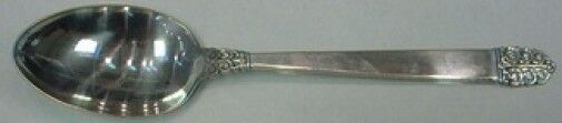 Northern Lights by International Sterling Silver Serving Spoon 8 1/2"
