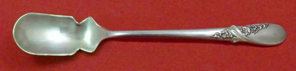 May Melody by International Sterling Silver Horseradish Scoop Custom 5 3/4"